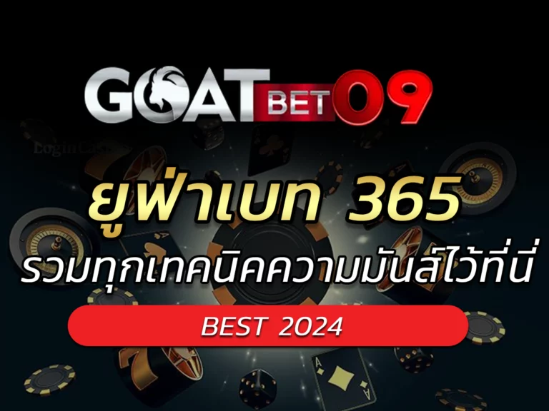 ยูฟ่าเบท 365 รวมทุกเทคนิคความมันส์ไว้ที่นี่ BEST 2024